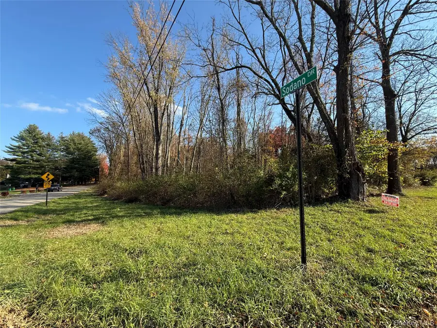 2 Sodano Road, Hopewell Junction, NY 12533 - #3