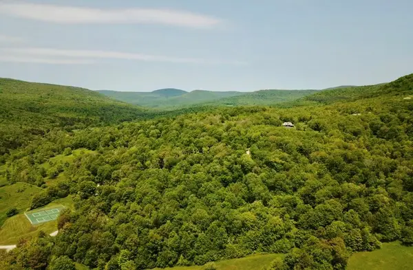 TBD High Meadow Road, Lew Beach, NY 12758