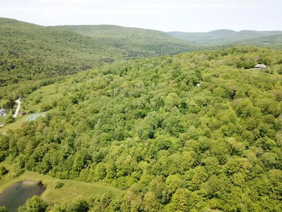 TBD High Meadow Road, Lew Beach, NY 12758 - #3