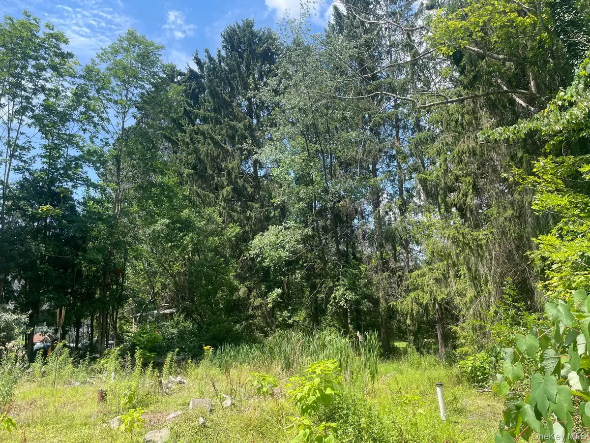 33 Dudley Street Harveys Lake, Pennsylvania Street, Harveys Lake, PA 18618 - #1