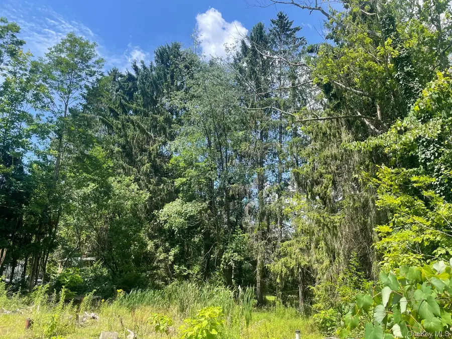 33 Dudley Street Harveys Lake, Pennsylvania Street, Harveys Lake, PA 18618 - #2