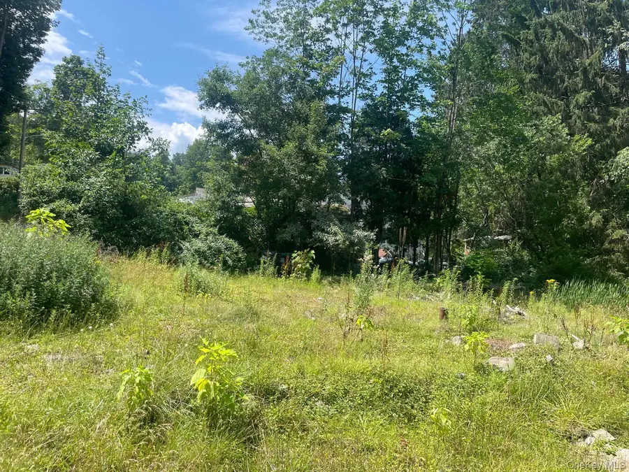 33 Dudley Street Harveys Lake, Pennsylvania Street, Harveys Lake, PA 18618 - #3