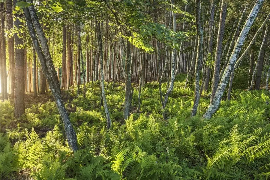 Misty Acres Lot 7 & 8, White Lake, NY 12786 - Image #2