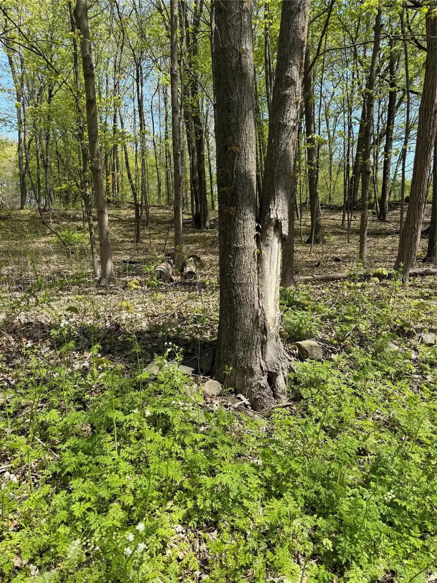 120 Floyd Ackert Road, West Park, NY 12493 - #2