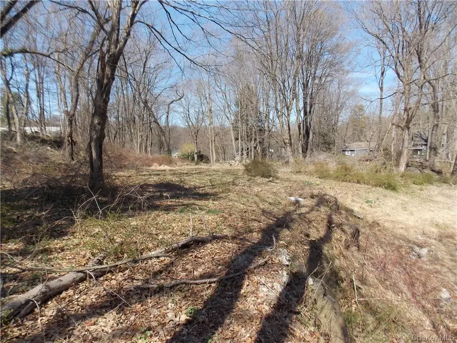 270 Furnace Dock Road, Cortlandt Manor, NY 10567 - Image #3