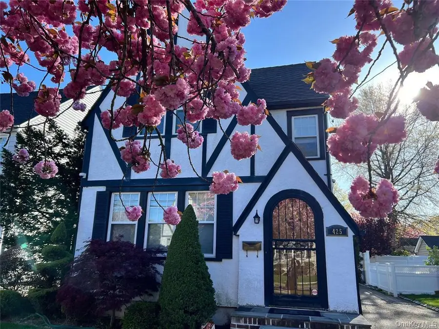 425 Marcellus Road, Mineola, NY 11501 - #3