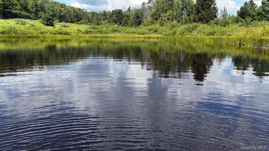 3392 Eminence Road, Hancock, NY 13783 - Image #3