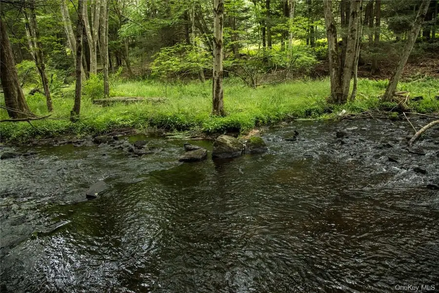 Lot 1 Chapin Trail, White Lake, NY 12786 - #3