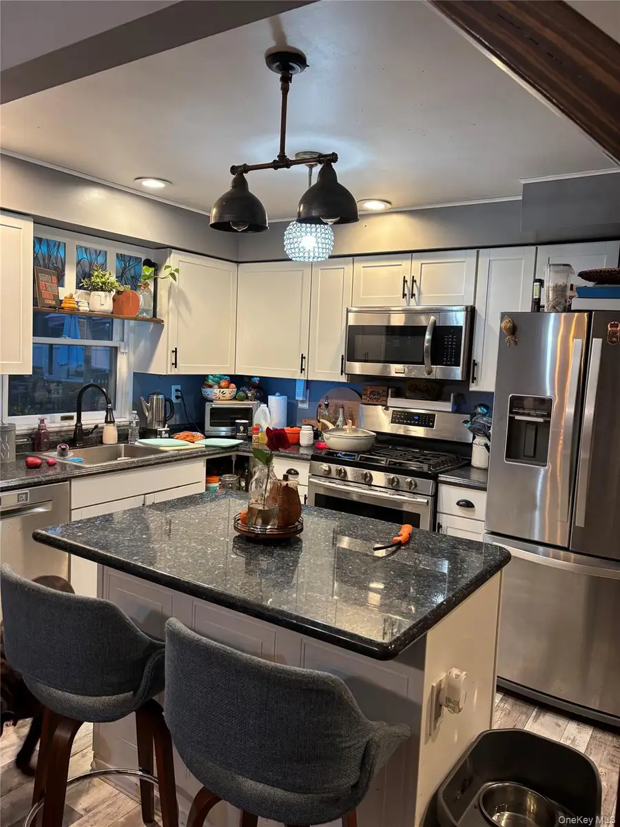 115 Dahlia Drive, Mastic Beach, NY 11951 - Image #2