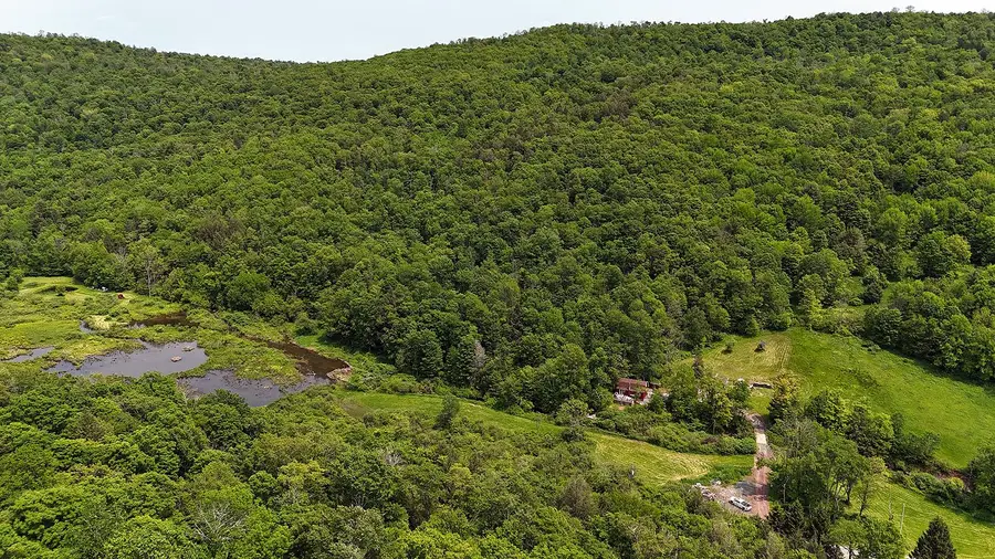 9003 County Hwy 28, Long Eddy, NY 12760 - Image #2