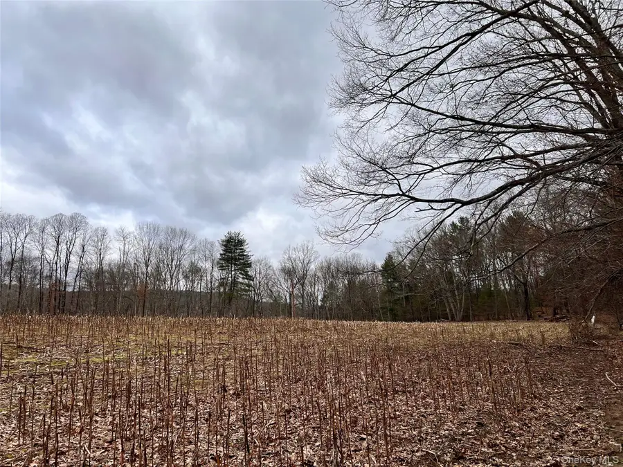 00 State Route 97 Route, Cochecton, NY 12726 - #3