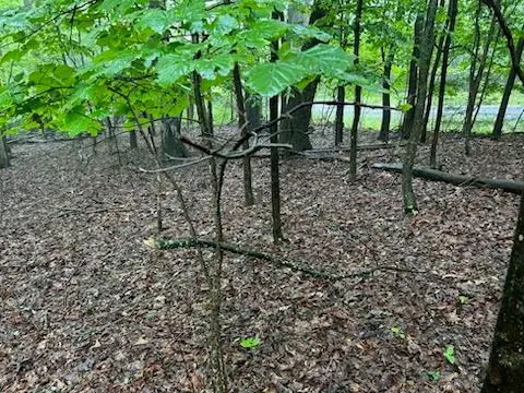 #2
