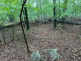 #3