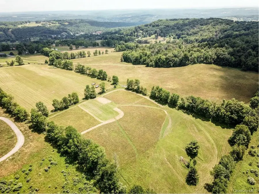 Beechwoods Road, Callicoon, NY 12723 - Image #2