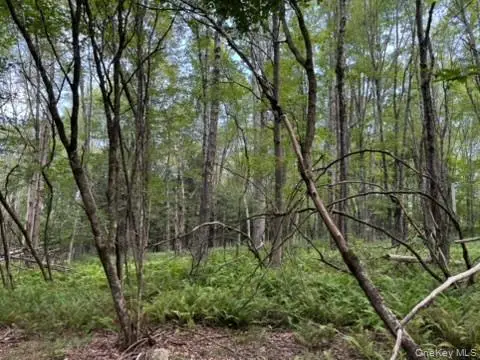 #3