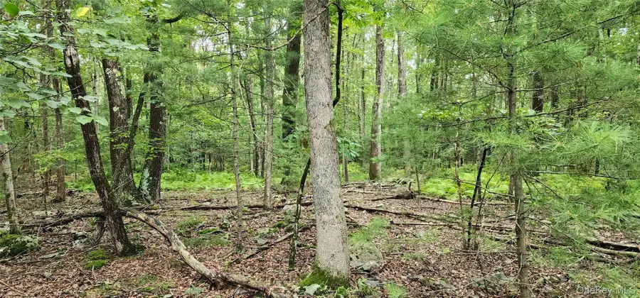 #3