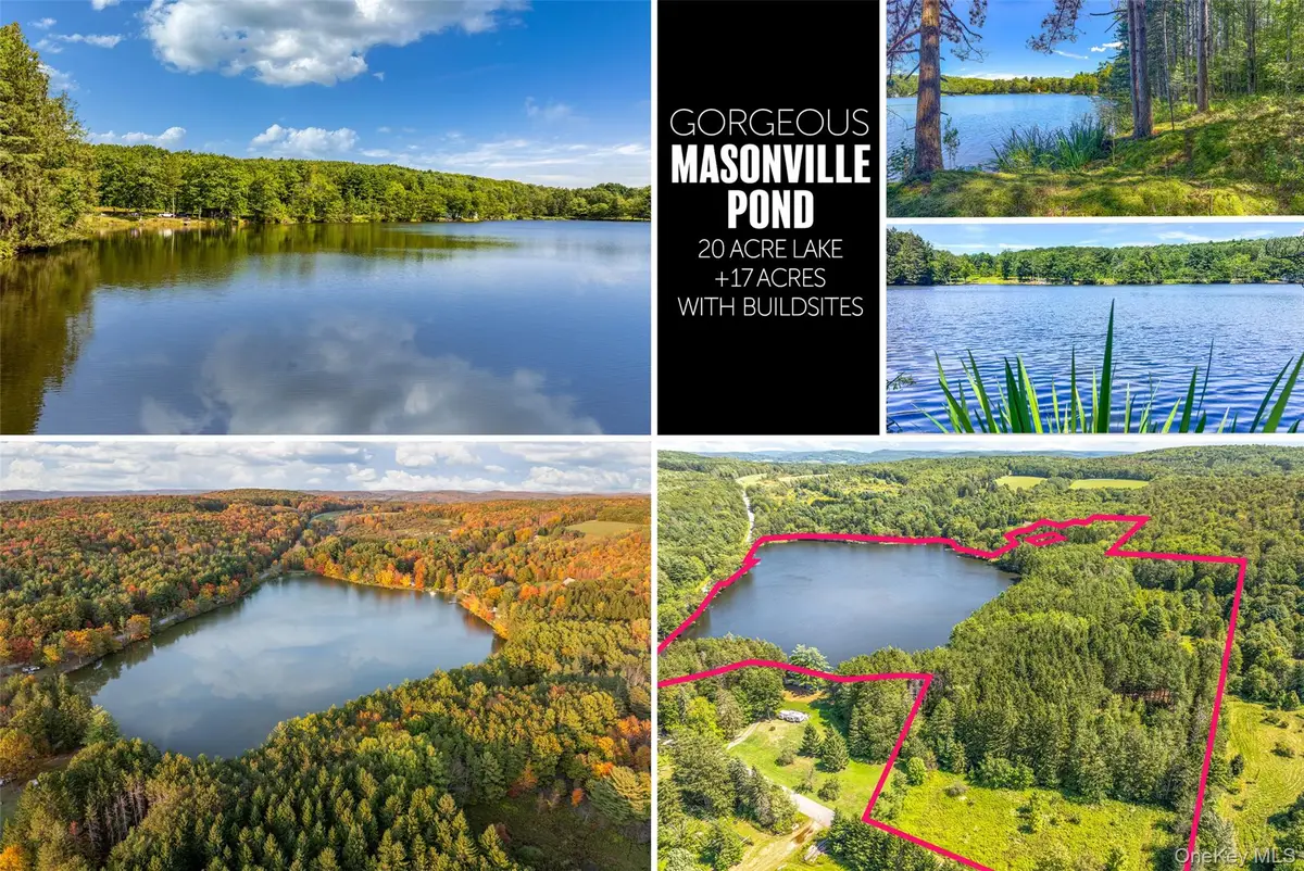 0 Masonville Pond Cummings Road, Sidney Center, NY  - #1