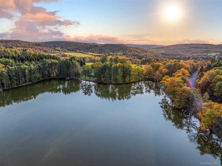 0 Masonville Pond Cummings Road, Sidney Center, NY  - #2
