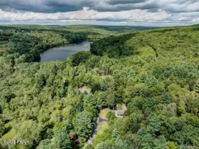 20 Chuck Foster Drive, Lackawaxen, PA 18428 - #3