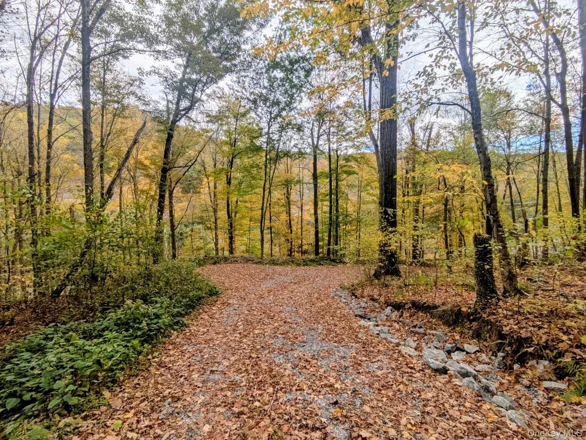 Rt-199, Stanfordville, NY 12581 - Image #1