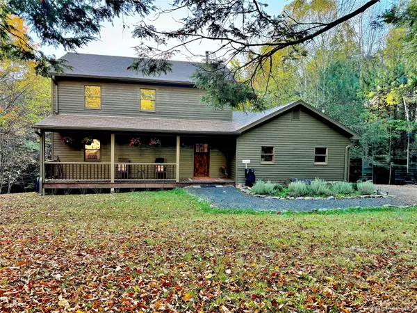 61 Mount View Estates Road, Windham, NY 12407