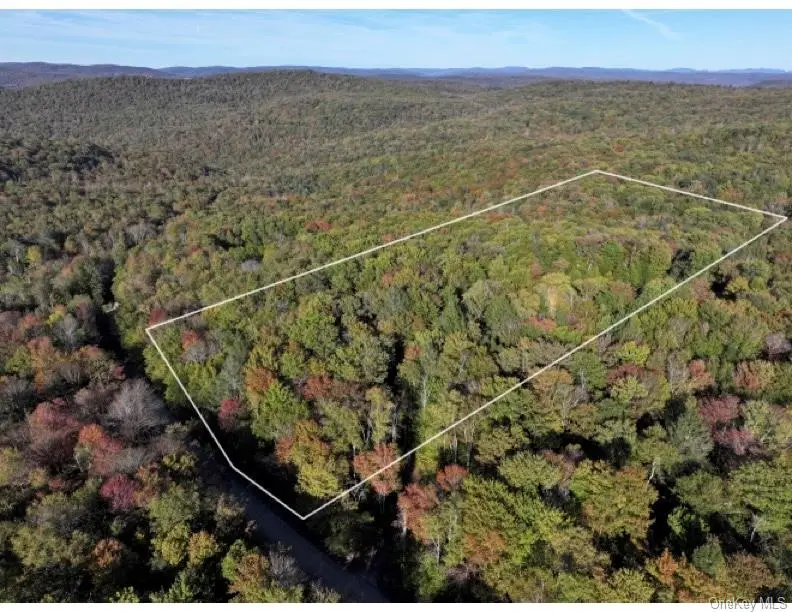 Tr 4, Fremont Center, NY 12736 - Image #2