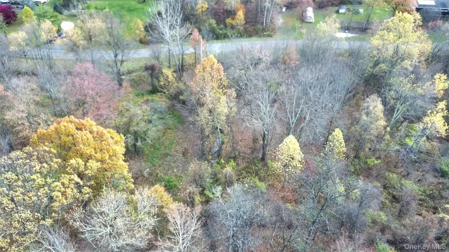 TBD Evy/chestnut Lane, Milton, NY 12547 - Image #3