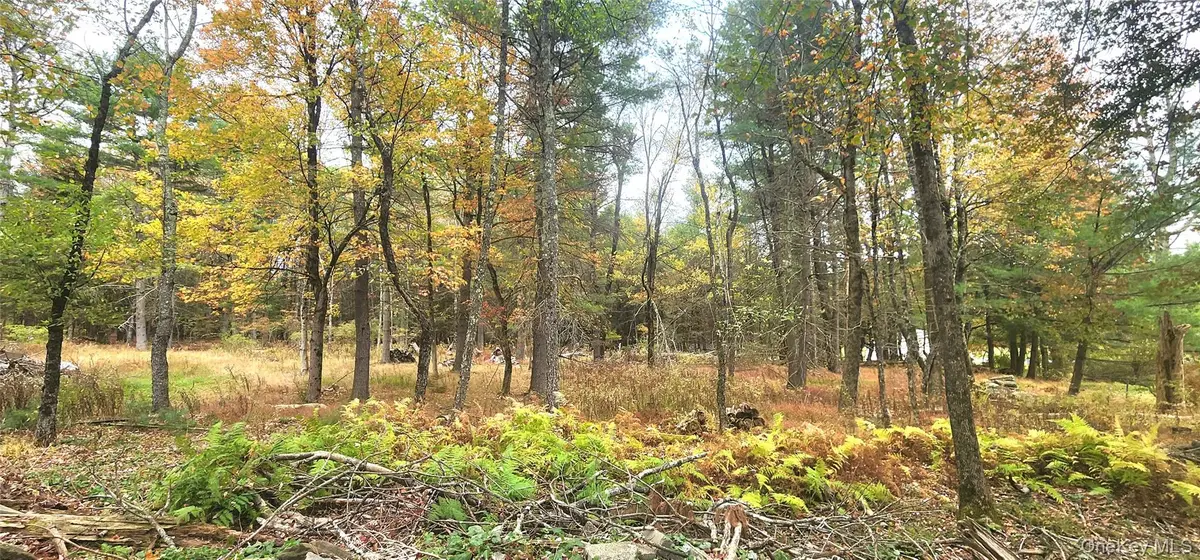 Kukas Road, Monticello, NY 12701 - Image #1