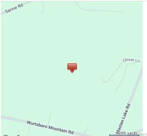 Park Avenue, Wurtsboro, NY 12790 - Image #1