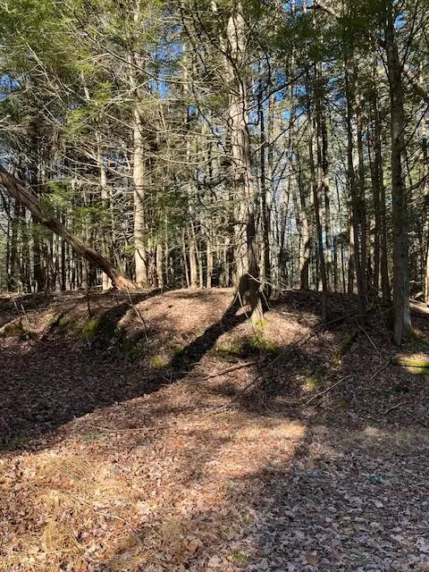 198 W Starlight Drive, Smallwood, NY 12778 - Image #1