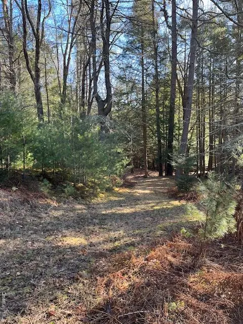 198 W Starlight Drive, Smallwood, NY 12778 - Image #3