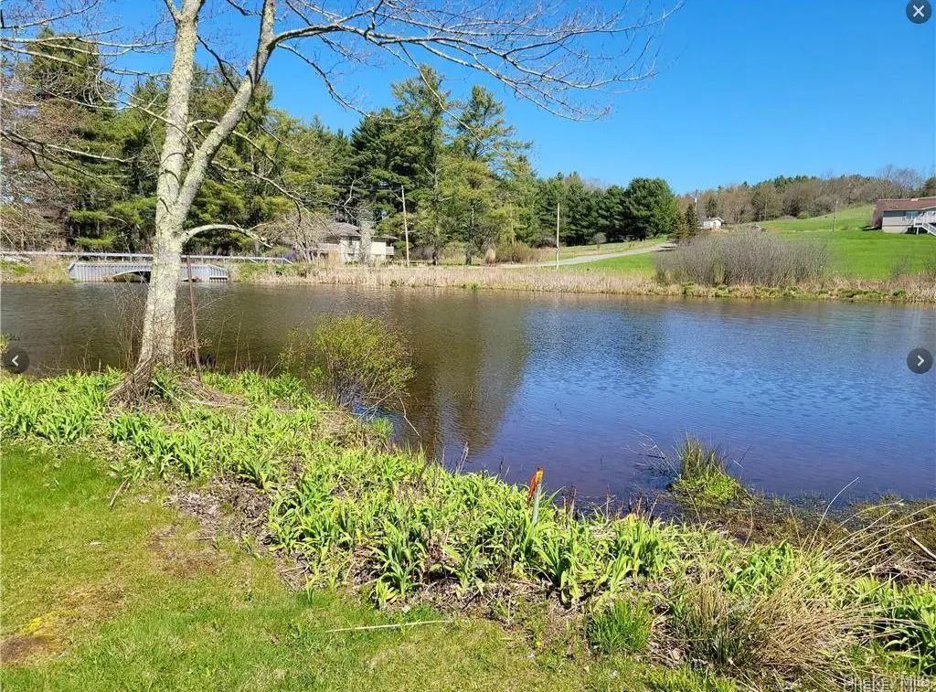 601 Briscoe Road, Bethel, NY 12783 - Image #1