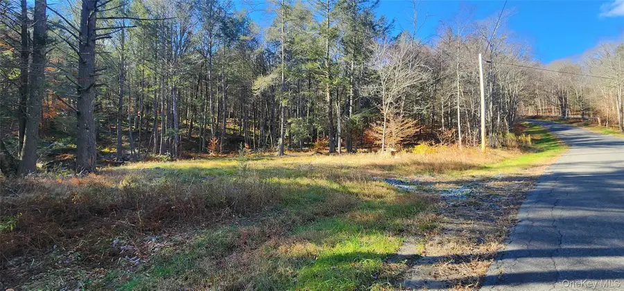 Hunter Road, Grahamsville, NY 12740 - Image #2