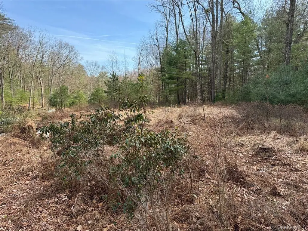 Echo Road, Bloomingburg, NY 12721 - Image #1