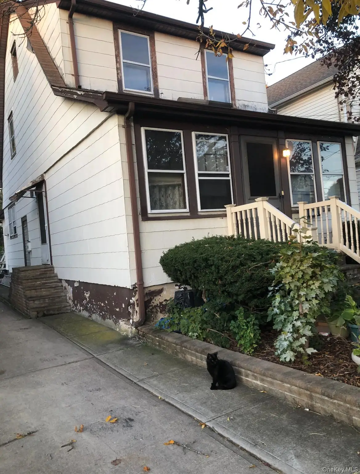 119 Pilgrim Place, Valley Stream, NY 11580 - #1