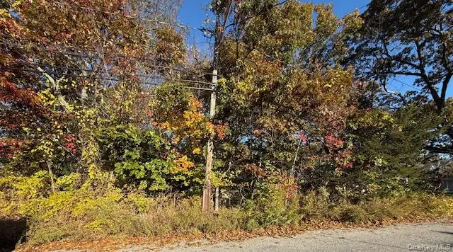 48 Newton Boulevard, Ronkonkoma, NY 11779 - Image #1