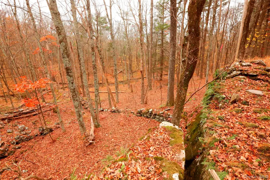 424 High Falls Road, Saugerties, NY 12477 - Image #3