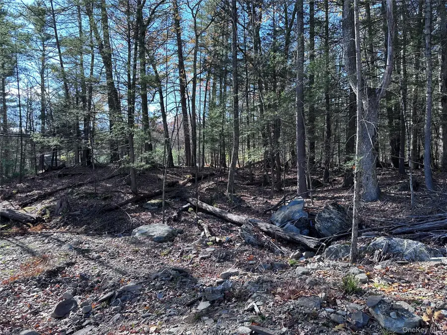 1470 County Road 2, Olivebridge, NY 12461 - Image #3