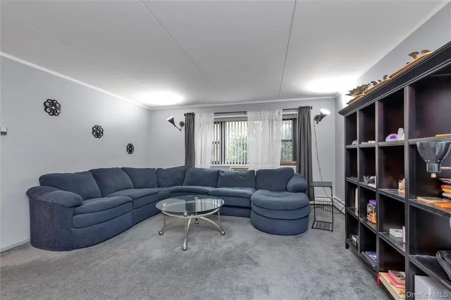 100 Clinton #2N, Mineola, NY 11501 - Image #3