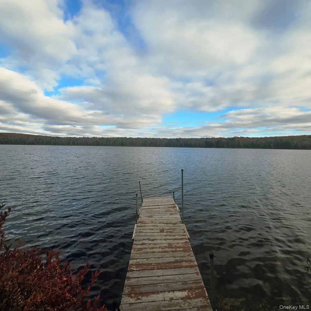 14 Lena Road, Forestburgh, NY 12777 - Image #1