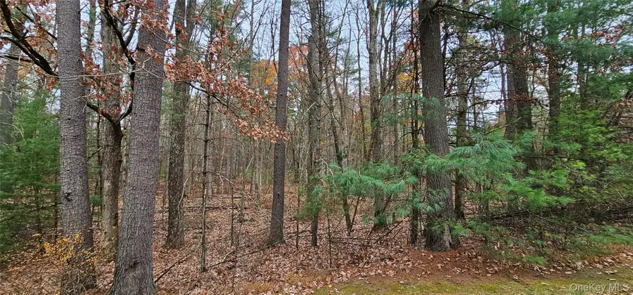 Lot 28 Summit Drive, Yulan, NY 12792 - Image #3