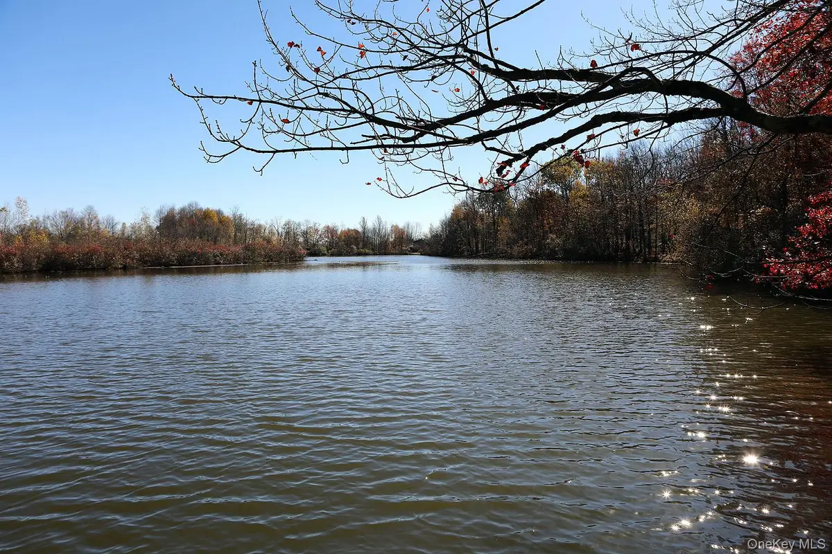 Blackberry Lake Road, Jeffersonville, NY 12748 - Image #1