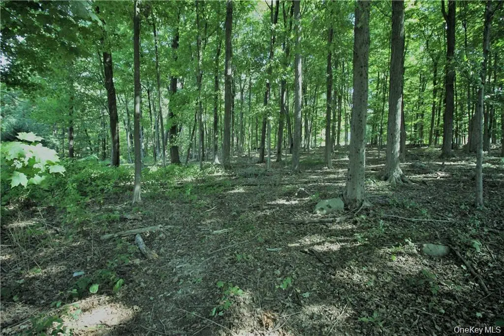 58-62 Walmer Lane, Cold Spring, NY 10516 - Image #1