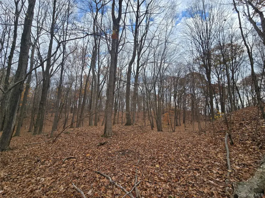 210 Bellevue Road, Highland, NY 12528 - Image #2