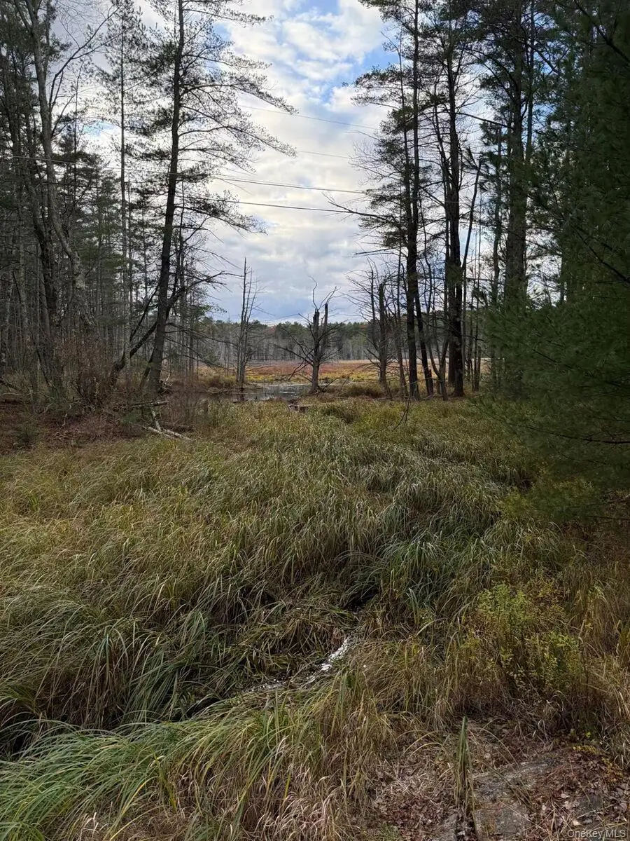 0 Puckyhuddle Road, Bethel, NY 12720 - Image #1