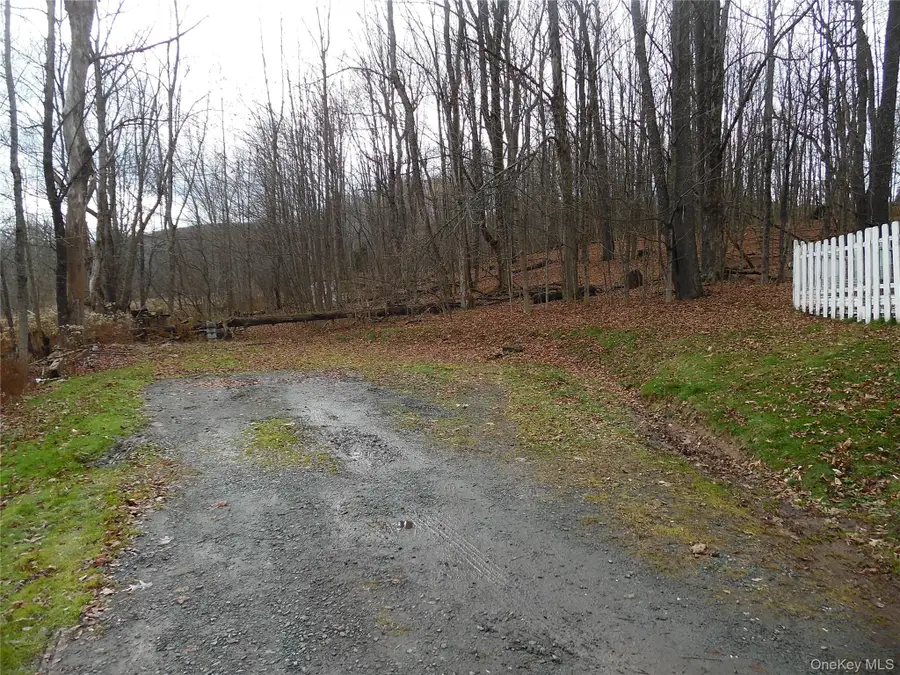 326 West Lake Street, Liberty, NY 12754 - Image #3