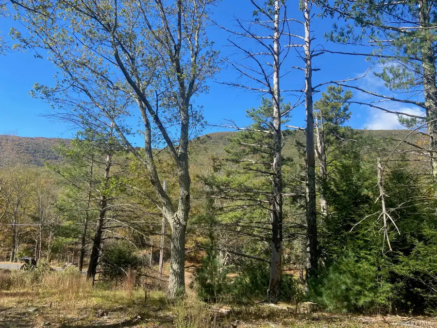 Tbd Manorville Road, Saugerties, NY 12477 - Image #2