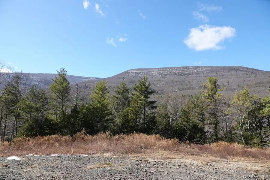 Tbd Manorville Road, Saugerties, NY 12477 - Image #3