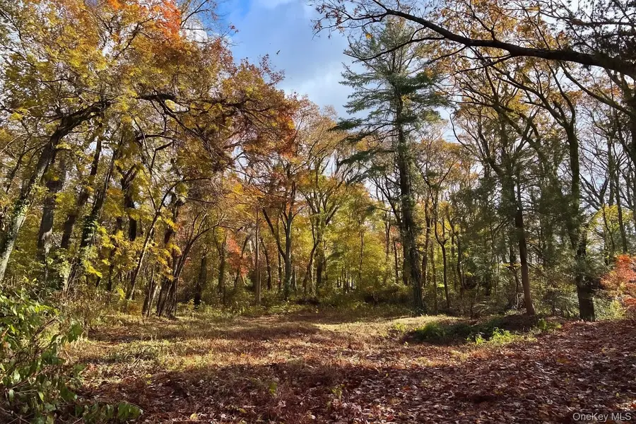 1029 Friendly Road, Upper Brookville, NY 11771 - Image #2