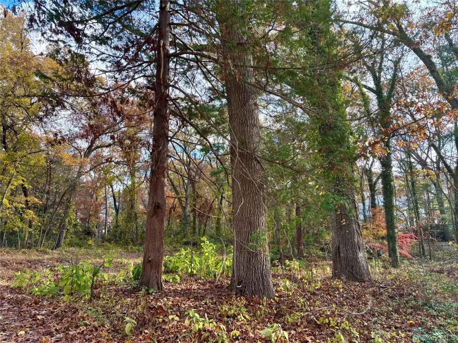 1029 Friendly Road, Upper Brookville, NY 11771 - Image #3